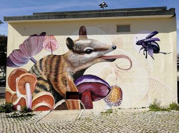 Numbat in mushroom forest portugal-lisboa-graffiti