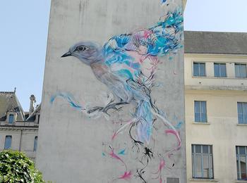  france-vannes-graffiti