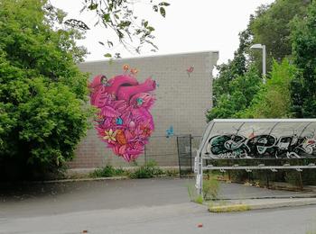  canada-montreal-graffiti