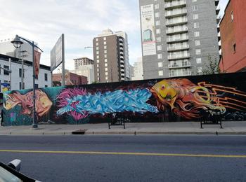  canada-ottawa-graffiti