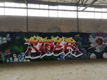  france-isse-graffiti