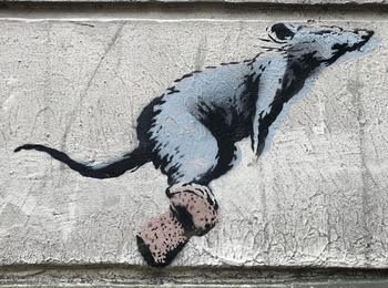 Banksy Rat Champagne Montmartre france-paris-graffiti