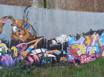  france-lorient-graffiti