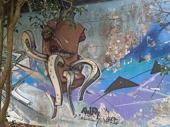  france-lorient-graffiti