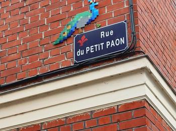 Rue du petit paon france-lille-mosaic