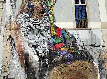 Raposa portugal-lisboa-graffiti