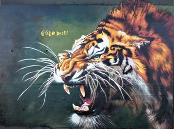 wild tiger schweiz-basel-graffiti