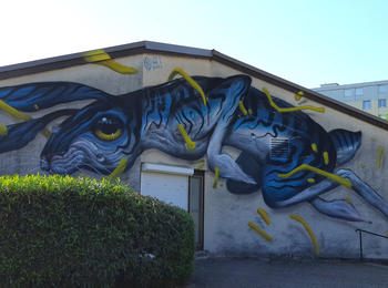  france-le-pont-de-claix-graffiti
