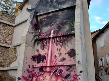 Le raton laveur Laser france-aubin-graffiti