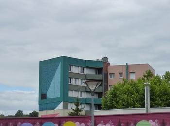 Birds france-decazeville-graffiti