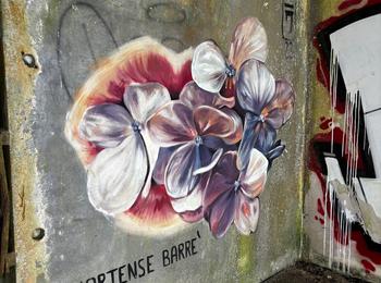  portugal-sete-cidades-graffiti
