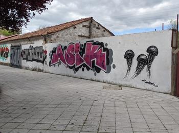 Jellyfishes spain-salamanca-graffiti