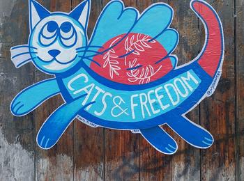 Tribute to Obey france-tours-sticking