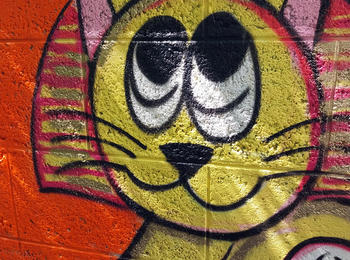 La rencontre france-angers-graffiti