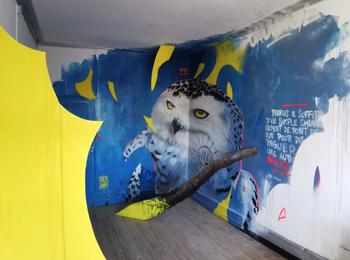 Point(s) de vue(s) france-paimboeuf-graffiti