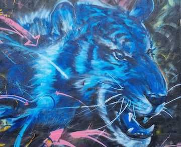 Apogé (Olivier Robillard)