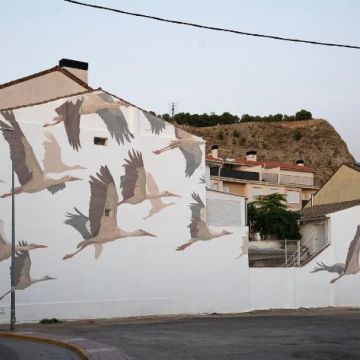 Taquen