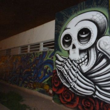 Lalo Cota