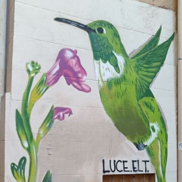 Luce ELT