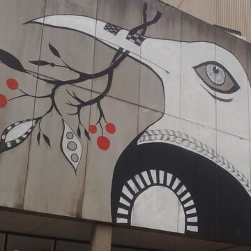Lucy McLauchlan