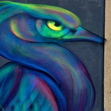 Psyloz