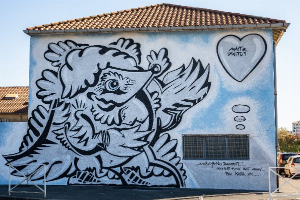 Mikel Pollo Daverat