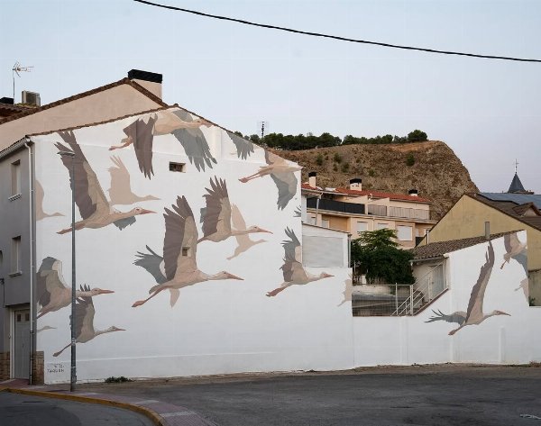 Taquen