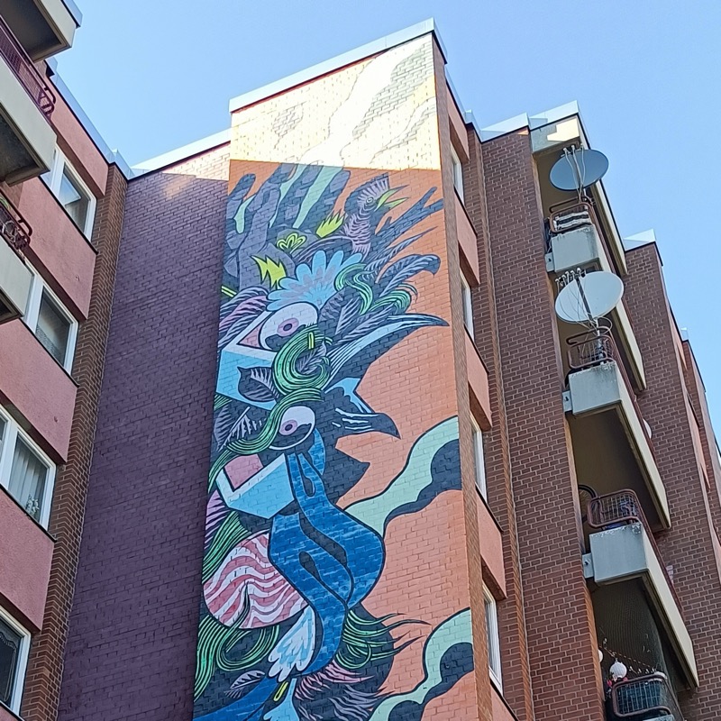 Bicicleta Sem Freio