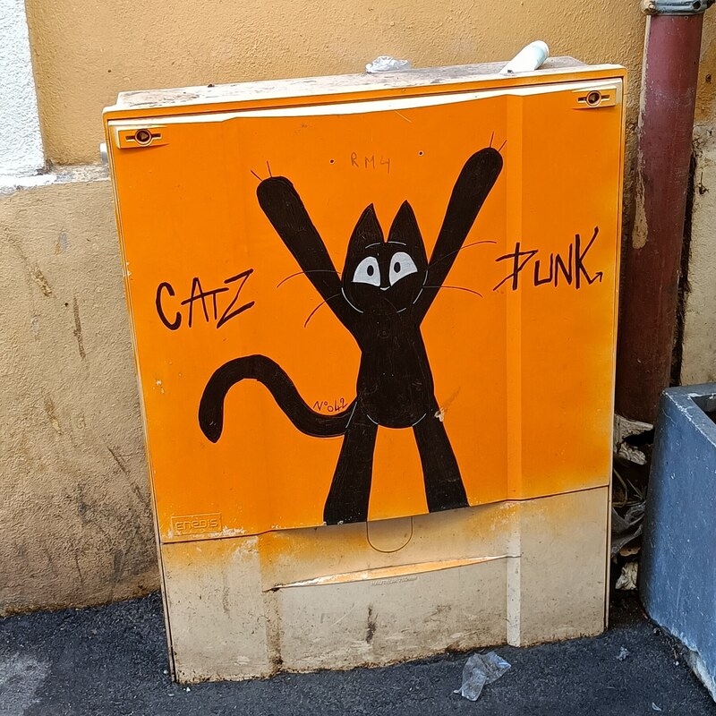 Catz Punk
