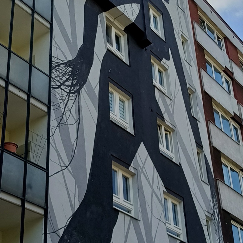 David de la Mano