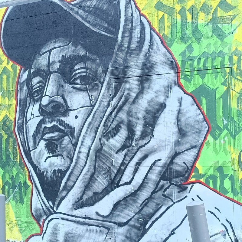 Dire 132
