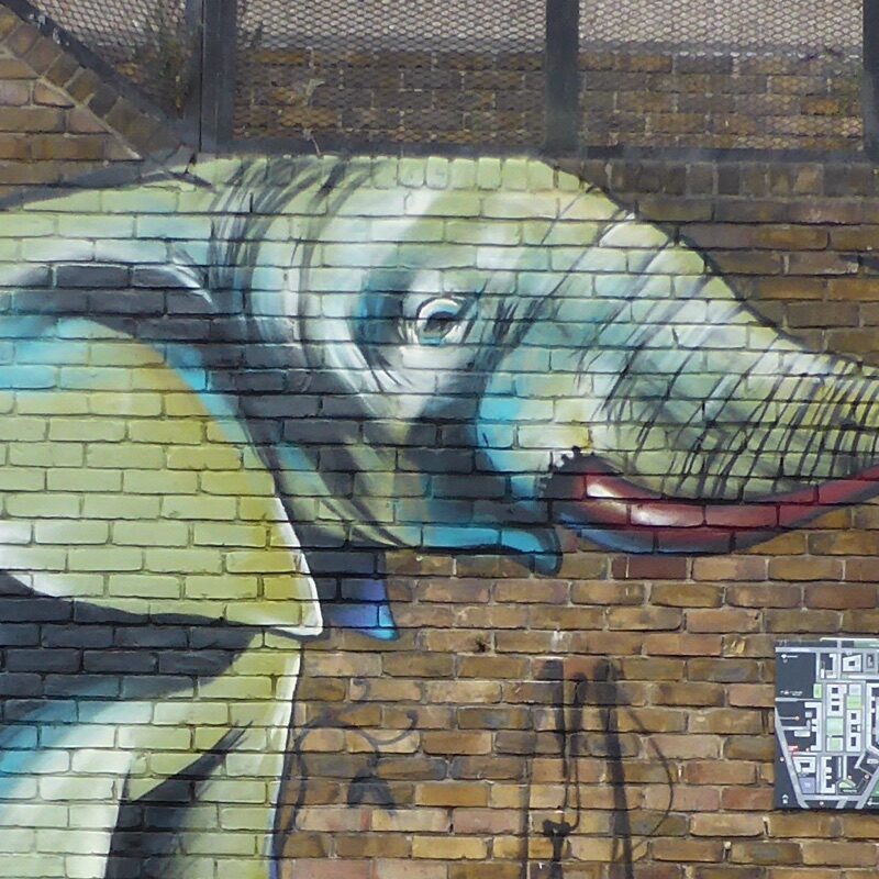 Falko One