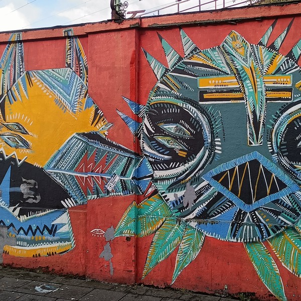 Guapo Sapo