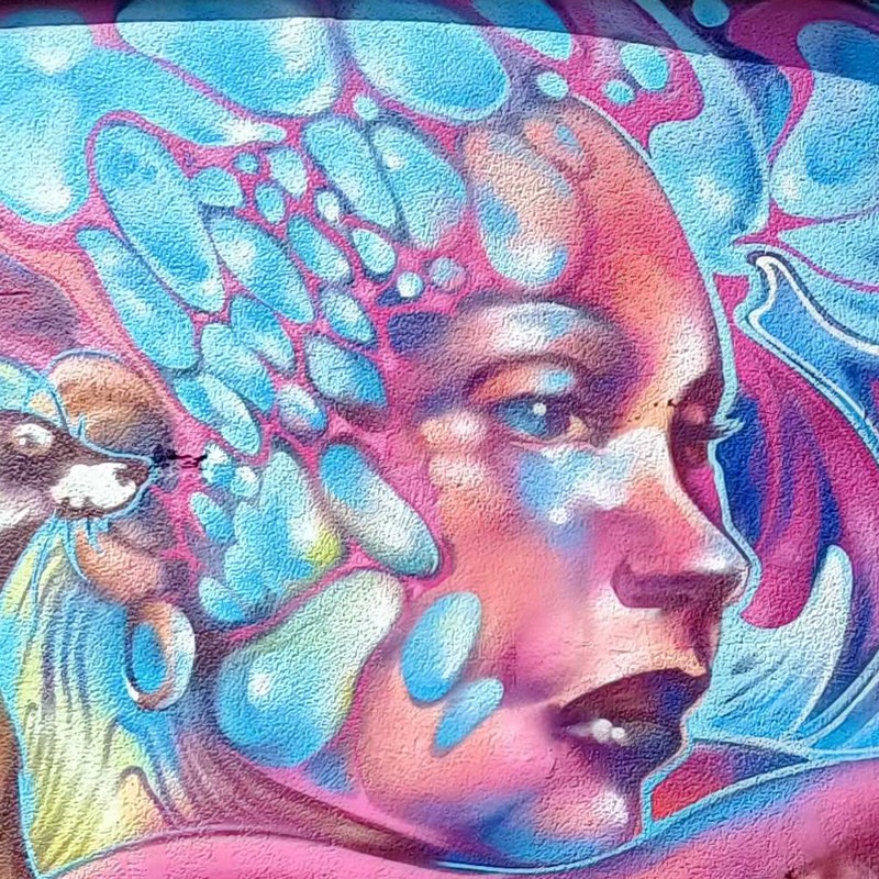 Jim Vision