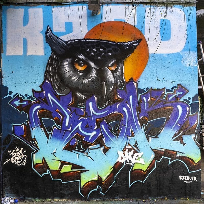 KZED