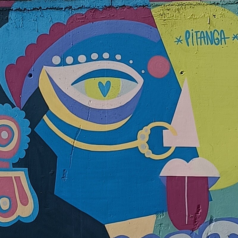 Pitanga