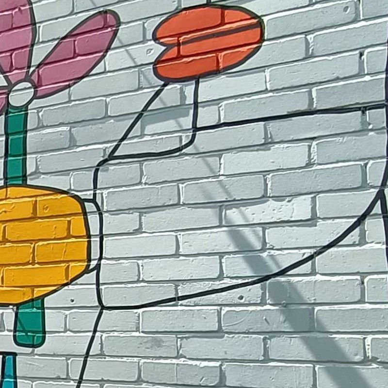 Thierry Noir
