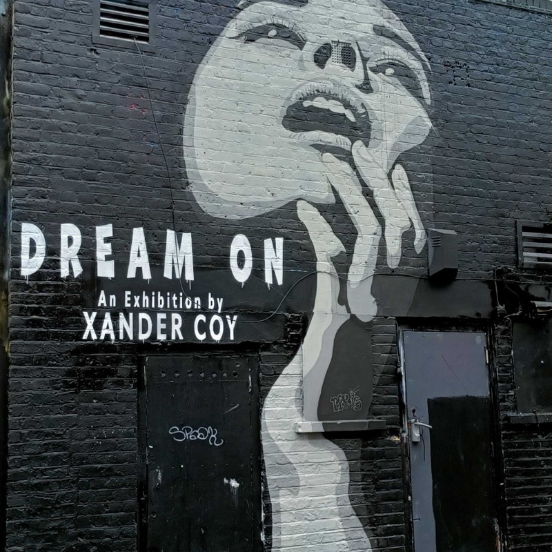 Xander Coy