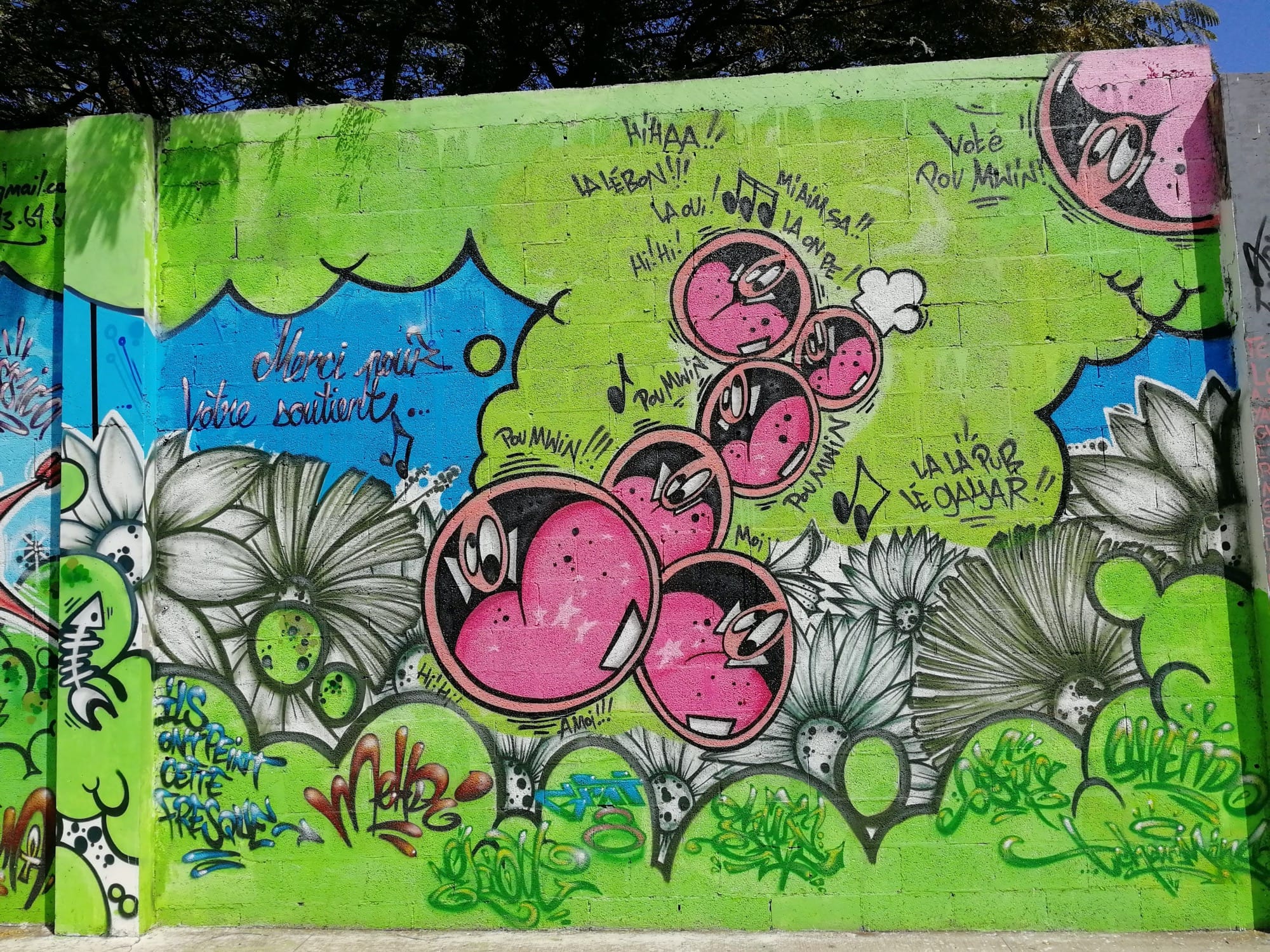 Graffiti 208  capturé par Rabot à Saint-Leu Réunion