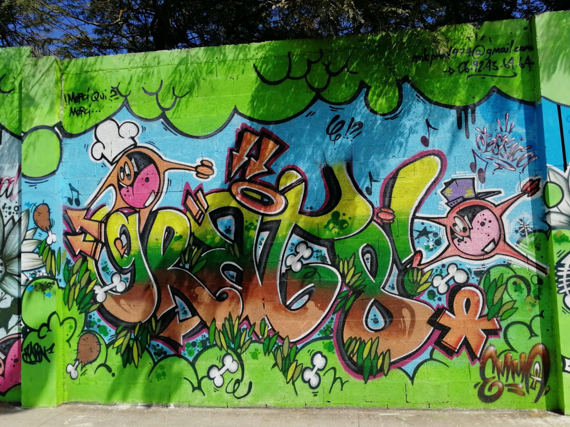 Graffiti 209  capturé par Rabot à Saint-Leu Réunion