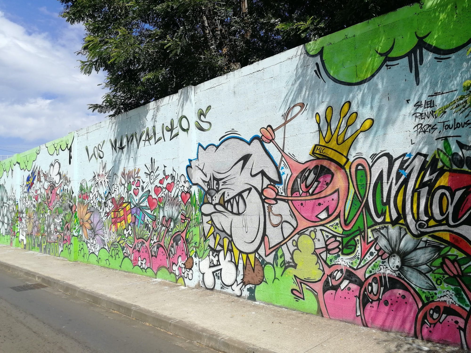 Graffiti 211  capturé par Rabot à Saint-Leu Réunion