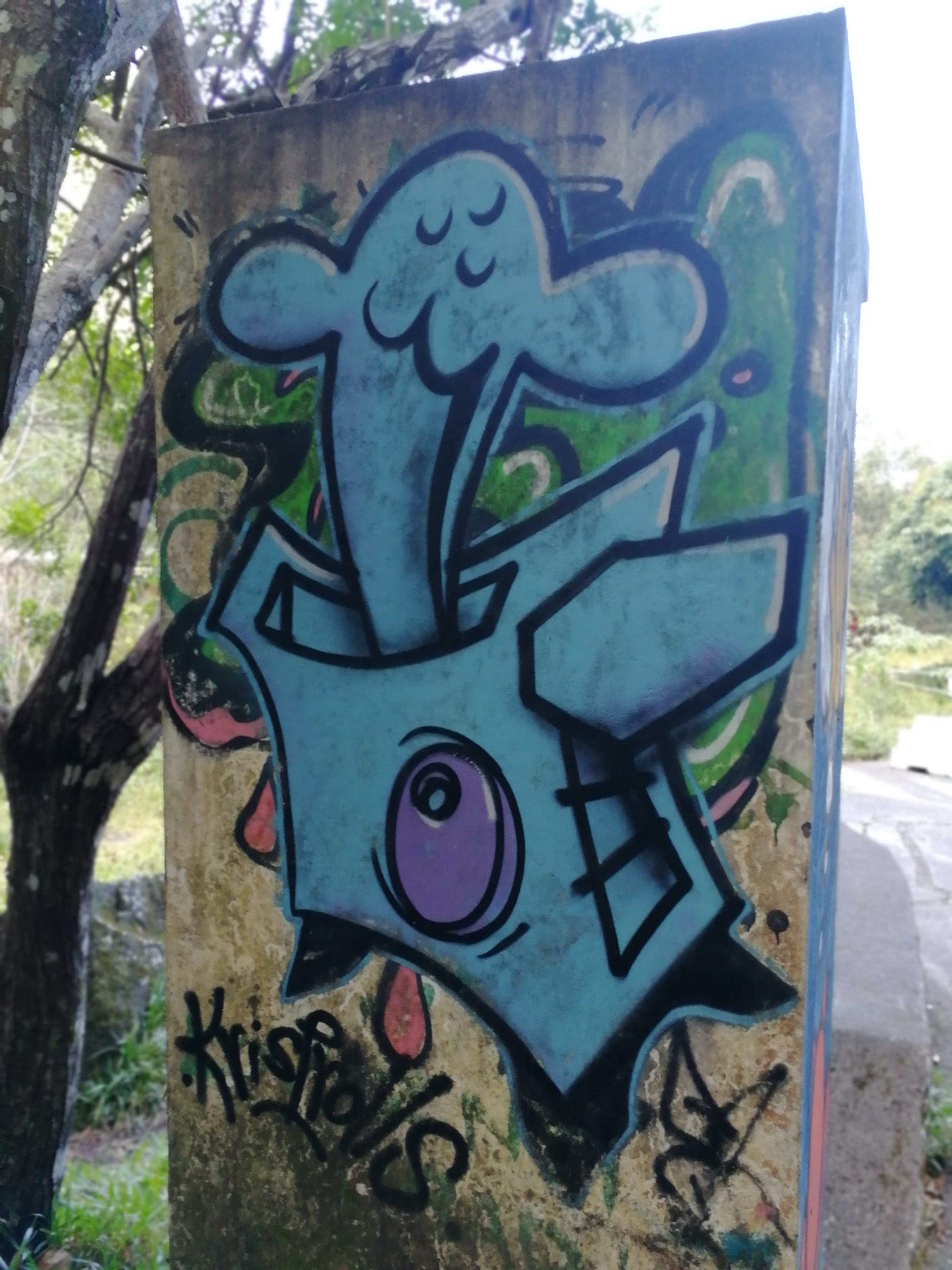 Graffiti 217  captured by Rabot in Saint-Joseph Réunion