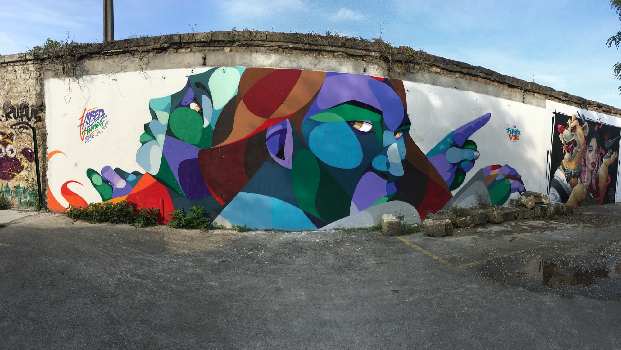 Graffiti 352  by the artist Alber captured by Julien in Bordeaux France