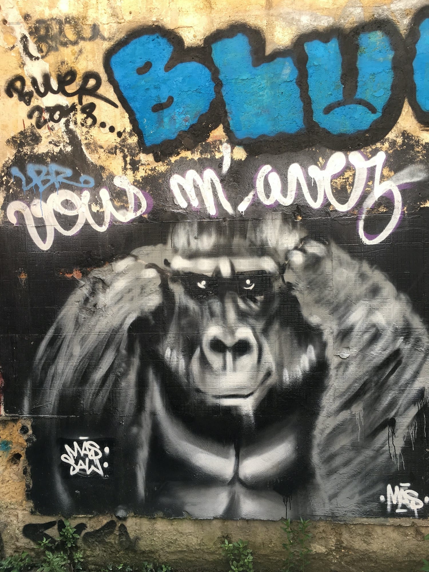 Graffiti 398  capturé par Julien à Bordeaux France