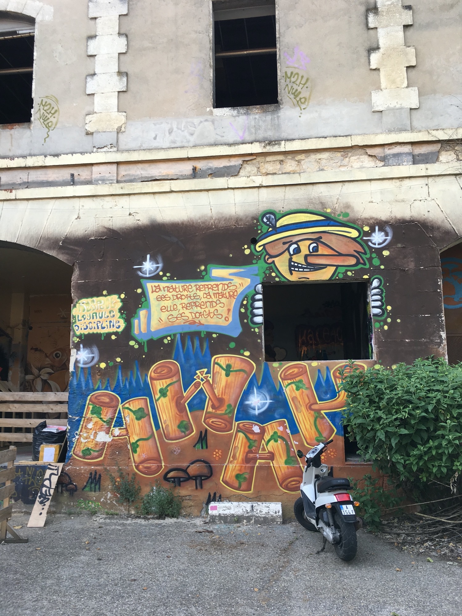 Graffiti 409  capturé par Julien à Bordeaux France
