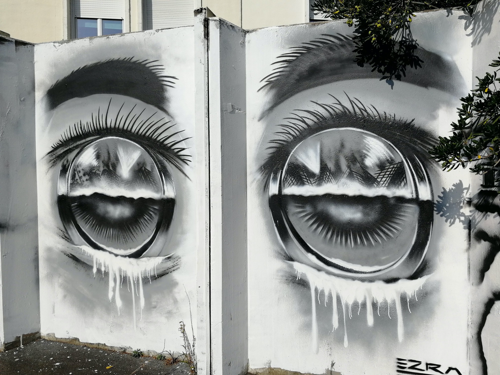 Graffiti 463  captured by Rabot in Nantes France