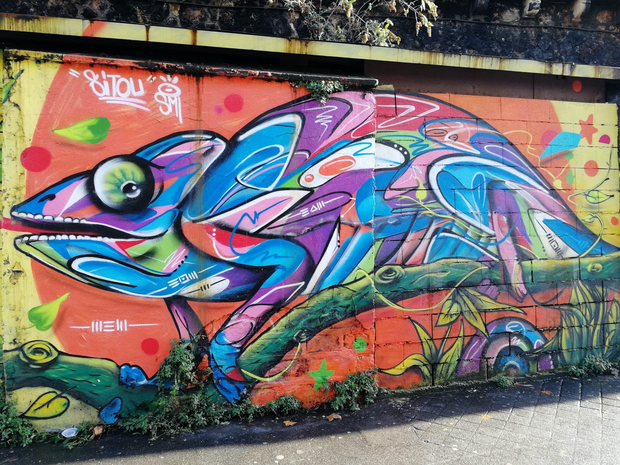 Graffiti 535 Caméléon by the artist Sitou captured by Rabot in Paris France