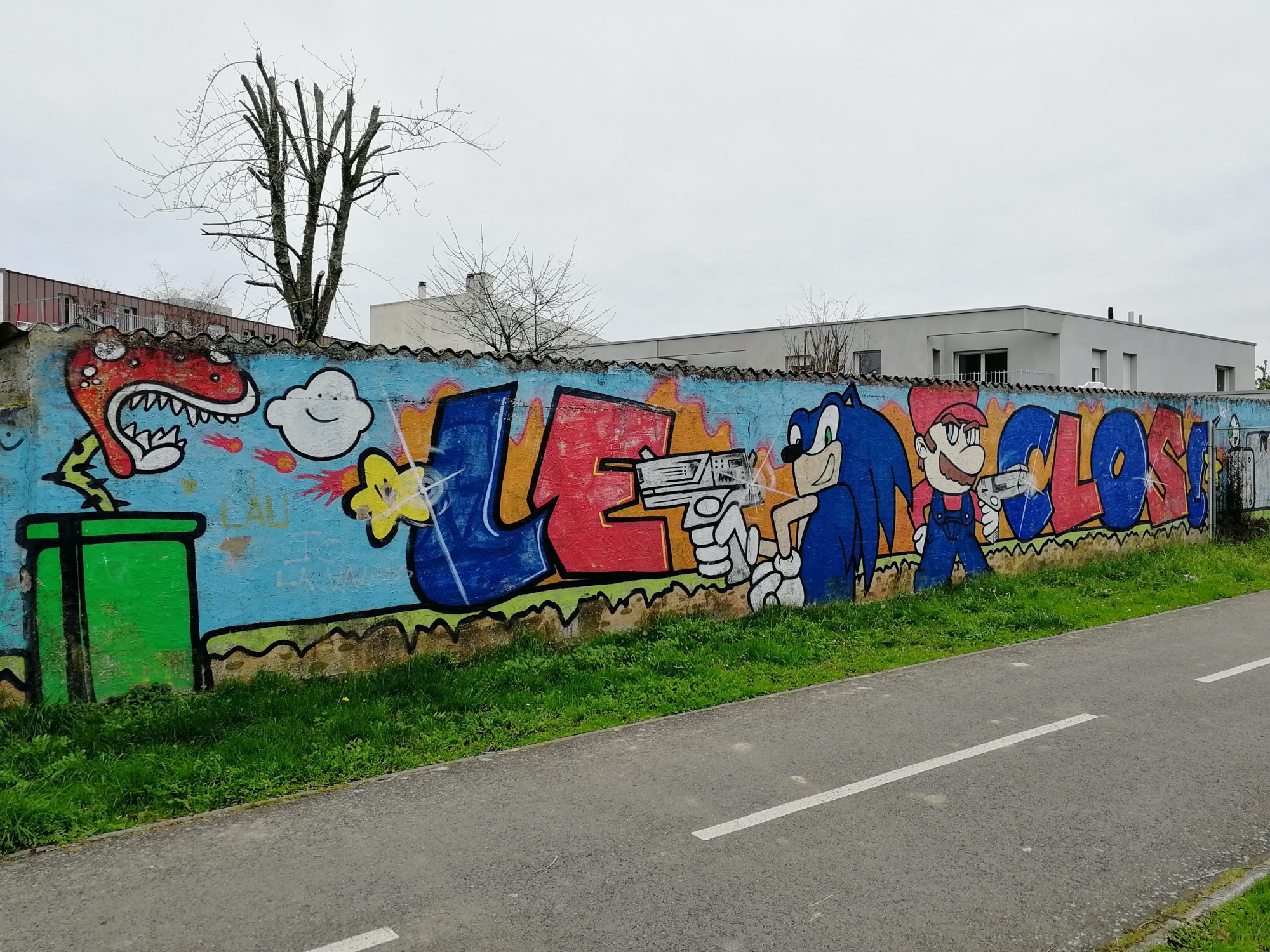 Graffiti 571 Sonic et Mario captured by Rabot in Nantes France