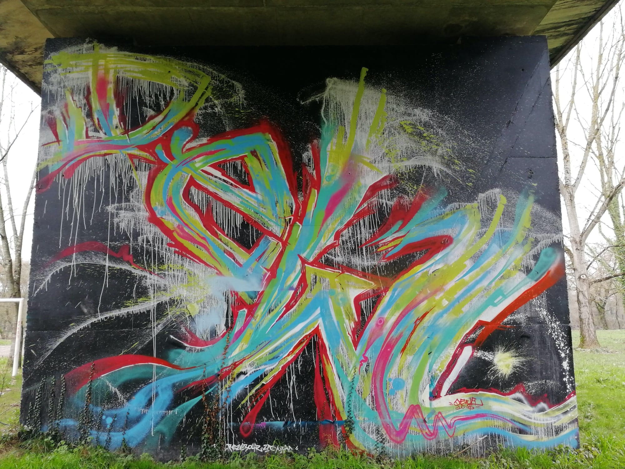 Graffiti 577  capturé par Rabot à Rezé France