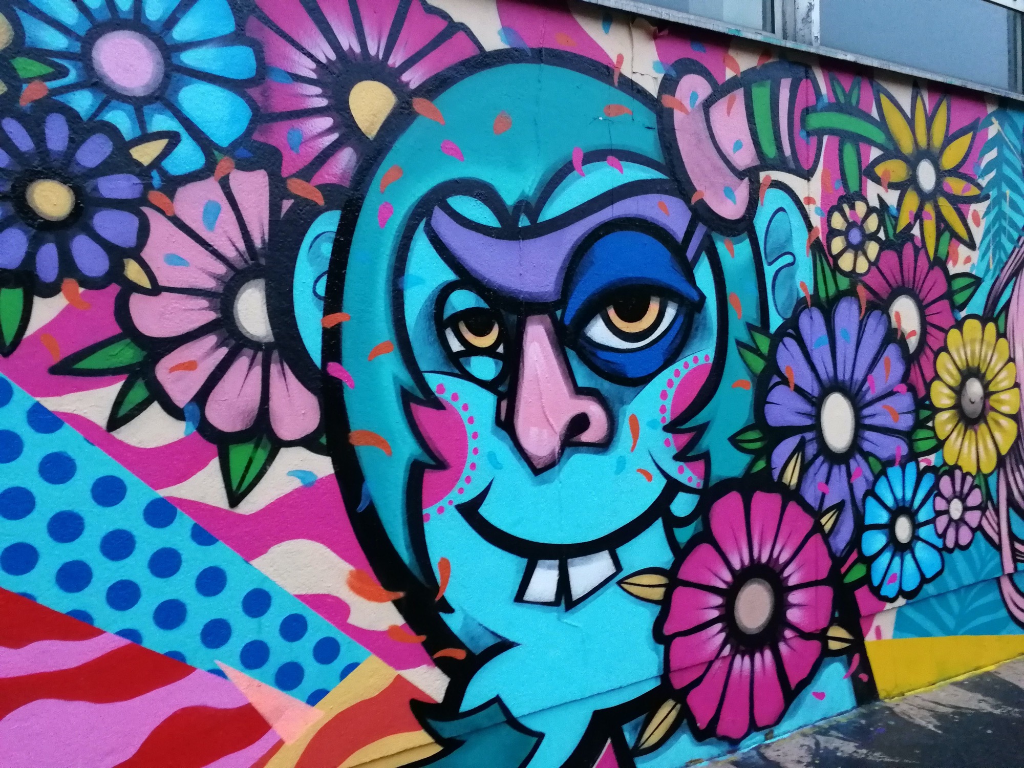 Graffiti 676  by the artist Toys Daniel captured by Rabot in Paris France